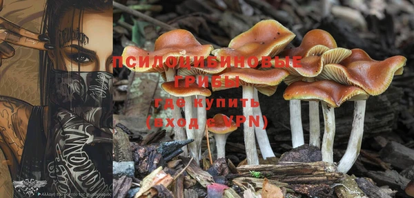 Альфа ПВП Медвежьегорск