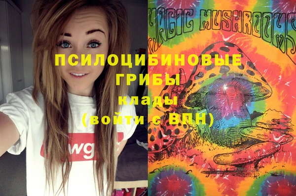 Альфа ПВП Медвежьегорск