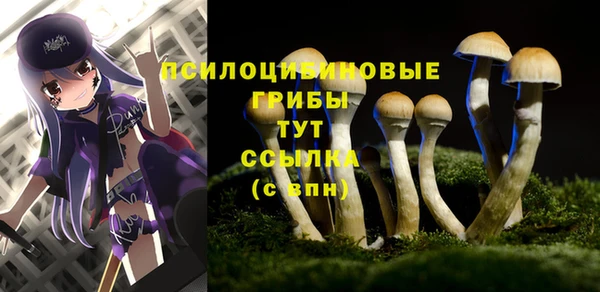 mix Мегион
